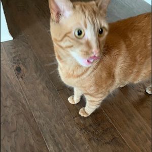 Meet your Posher, Alexandrea